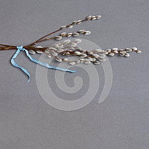 Willow branches on starlight grey quartz counter