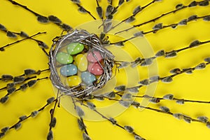 A willow branches or verba, a nest with Easter eggs