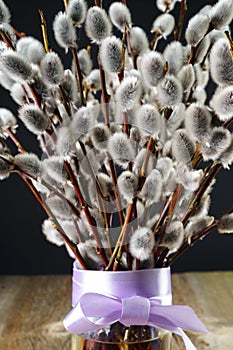 willow bunch on dark background closeup