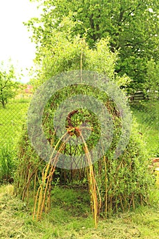 Willow door to small children house