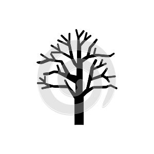 Willow forest tree icon