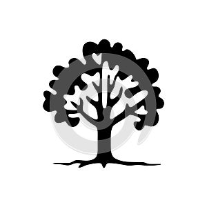 Willow forest tree icon