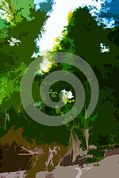 Willow forests on the banks of the Danube river