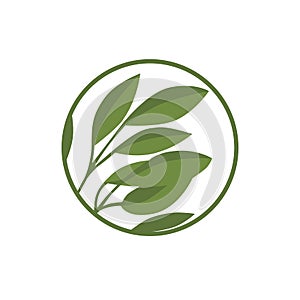 Willow green leaf icon in a circle