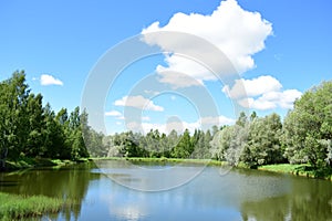 Willow grows in the Park on the banks of the river. The trees bowed their branches over the water. Sunny weather. Sky, clouds