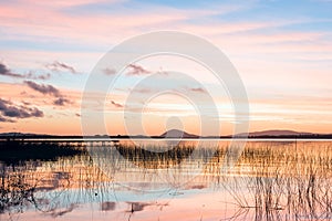 Willow Lake, the largest water body in the Maldonado, Uruguay photo