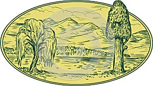 Willow And Sequoia Tree Lake Mountains Oval Drawing