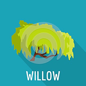 Willow tree icon, flat style