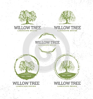 Willow Tree Landscape Design Creative Vector Nature Friendly Sign Concept. Sustainable Eco Illustration