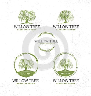 Willow Tree Landscape Design Creative Vector Nature Friendly Sign Concept. Sustainable Eco Illustration photo