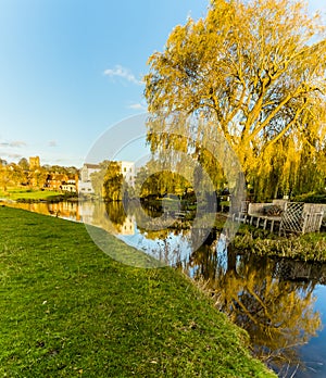 A willow tree reflected in the River Stour on the western edge of Sudbury, Suffolk