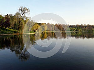 Willow tree reflexion