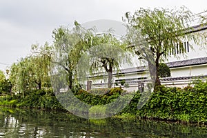 Willow trees and view from traditional boat tour in Yanagawa, Fukuoka