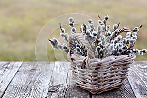 Willow Twigs Bouquet