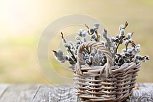 Willow Twigs Bouquet