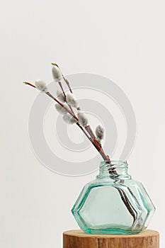 willow twigs in green glass jar vase on white background