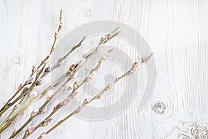 Willow twigs on the light wooden background