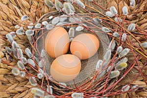 Willow twigs and natural eggs. Easter concept.