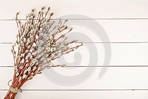 Willow twigs on wooden background