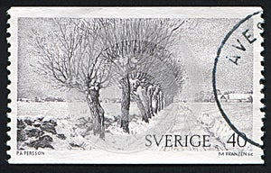 Willows by Peter Persson