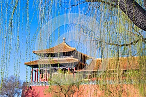 The willows swayed before the Imperial Palace in spring
