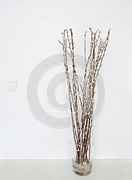 willows vase