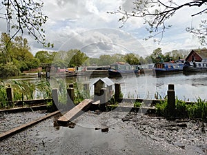 Willowtree marina docks