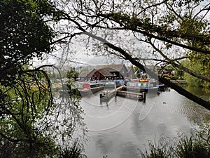 Willowtree marina docks