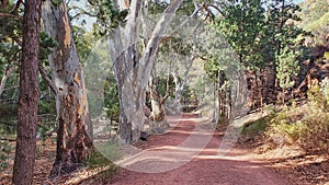 Wilpena National Park in South Australia photo