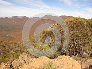Wilpena pound, Flinders ranges, south australia