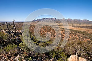 Wilpena Pound Flinders Ranges South Australia