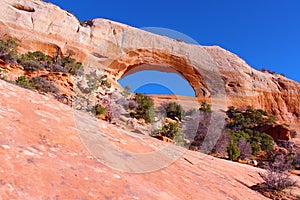 Wilson arch, moab ut. photo