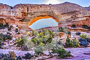 Wilson Arch Rock Canyon Moab Utah photo