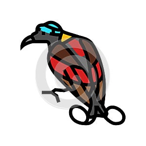 wilsons bird of paradise bird exotic color icon vector illustration