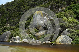 Wilsons Prom National Park in Victoria Australia photo