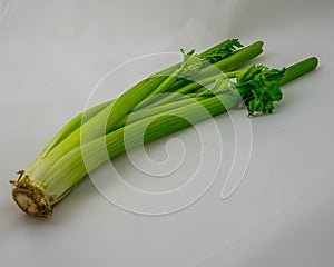 Wilted Celery Stalk