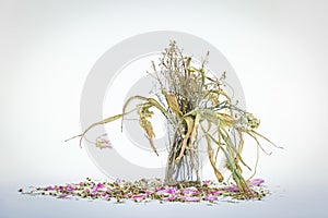 Wilted flowers bouquet in a clear glass vase