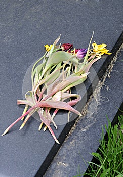 Wilted flowers on gravestone photo