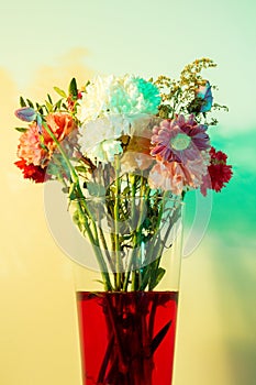 Wilted flowers in red water in colored light