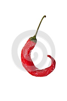 Wilted red hot chilli pepper.