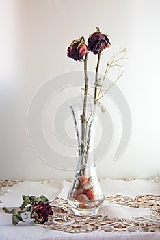 Wilted red rose flowers on the vase