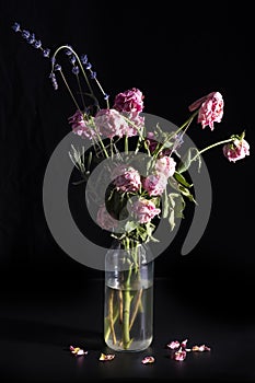 Wilted red roses in a glass vase on a dark background
