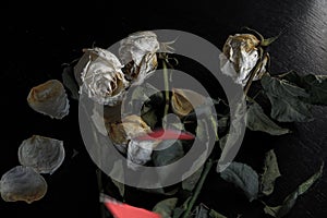 Wilted rose flowers and torn in half a paper heart, the concept of a broken heart, breakup