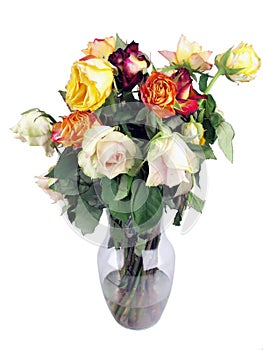 wilted roses bouquet photo