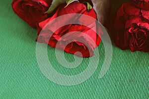 Wilted roses on a green textile background closeup. Retro style roned