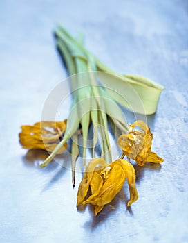 Wilted yellow tulips on blue steel texture. Conceptual beautiful aging
