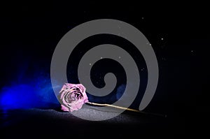 A wilting rose signifies lost love, divorce, or a bad relationship, dead rose on dark background