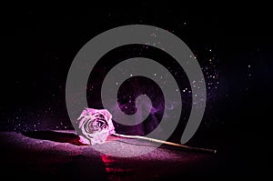 A wilting rose signifies lost love, divorce, or a bad relationship, dead rose on dark background