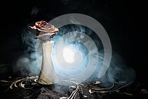 A wilting rose signifies lost love, divorce, or a bad relationship, dead rose on dark background with smoke
