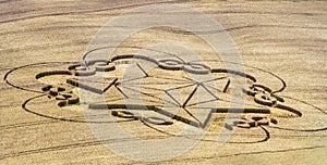 Crop circle appeared on the field - unbeliev photo